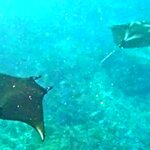 Photo taken by Laurence S