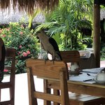 Photo taken by Juliette S