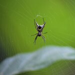 Photo taken by Ceinwen P