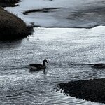 Photo taken by stefanie c