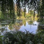 Photo taken by Nina W