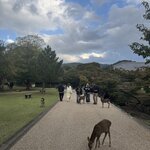 Photo taken by Abdul A