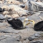 Photo taken by Jennifer A