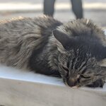 Photo taken by Jason C