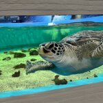 Photo taken by Doug S