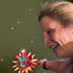 Photo taken by Kevin M