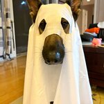 Photo taken by Debbie W