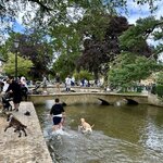 Photo taken by Larry B