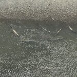 Photo taken by Kim L