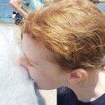 Photo taken by Paula R