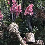 Photo taken by Laurie W