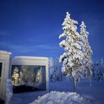 Photo taken by Ellyn V