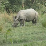 Photo taken by Katherine J