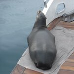 Photo taken by Richard P