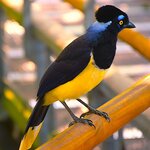 Photo taken by Dennis H