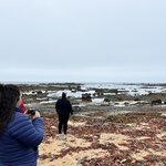 Photo taken by Connie P