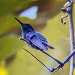 Photo taken by Erna P