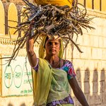 Young lady carrying firewood, Jaisalmer | Photo taken by Jean M