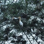 Photo taken by Karen W