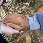 Photo taken by Stephanie S