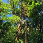 Photo taken by Emelyn J