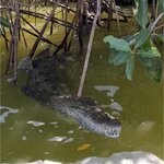 Photo taken by Wendy W