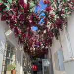 Photo taken by Cheryl L