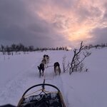 Photo taken by Amy H