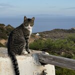 Photo taken by David B