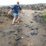 Photo taken by Steven M