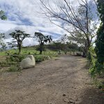 Photo taken by Joy E