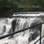 Photo taken by Michelle C