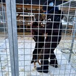 Photo taken by Christa C