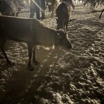 Photo taken by Amy H