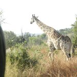 Photo taken by Linette B