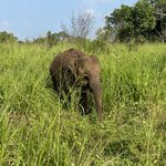 Photo taken by Kari I