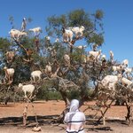 Photo taken by Tara Z