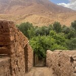 Photo taken by Allison O