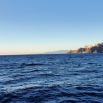 Photo taken by Patricia K