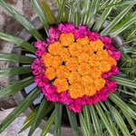 Photo taken by wendi r