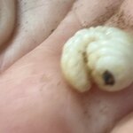 Photo taken by Tony F