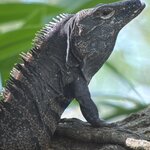 Photo taken by Cathy T