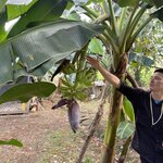 Photo taken by Jacqueline R