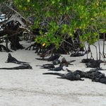 Photo taken by Natascia V