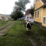 Photo taken by Rob S