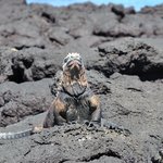 Photo taken by Natascia V