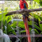 Photo taken by Jeffrey B