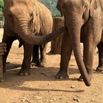 Photo taken by Megan H