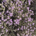 Photo taken by Ingenie D