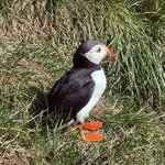 Photo taken by Lisa D